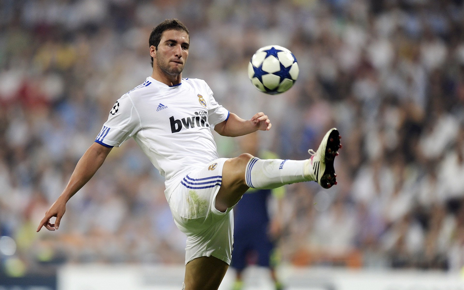 世界青少年体育卡丁车锦标赛激情碰撞，全国青少年卡丁车运动委员会